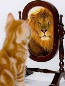 kitten_lion_mirror